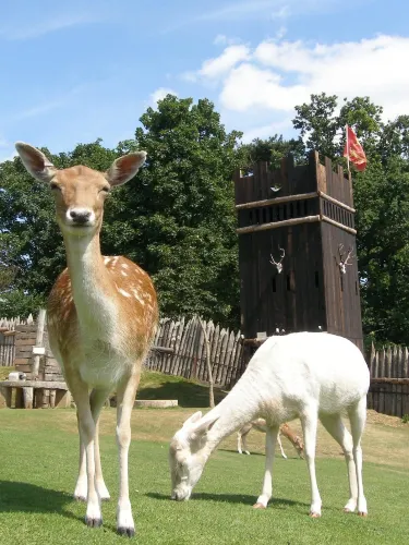 Stansted Mountfitchet