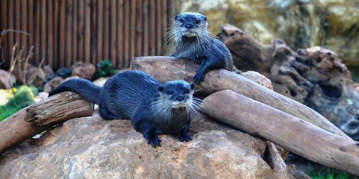 Limassol Zoo