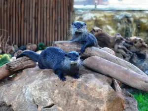 Limassol Zoo