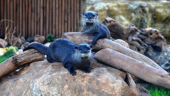 Limassol Zoo