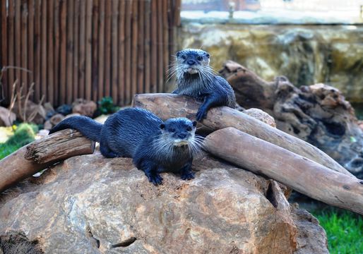 Limassol Zoo