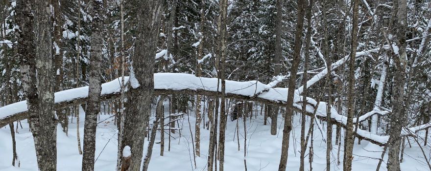 Eben Ice Caves and Canyon Falls & Gorge