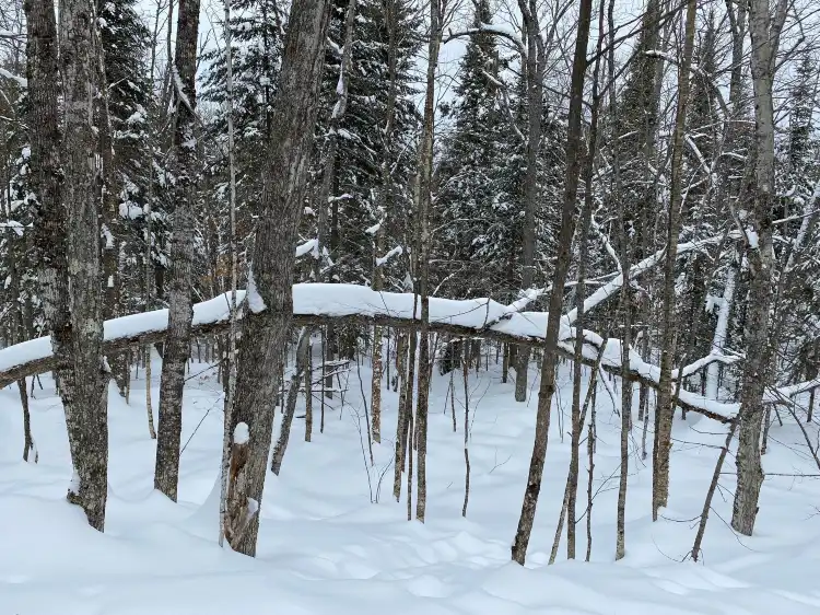 Hôtels à : Rock River Township