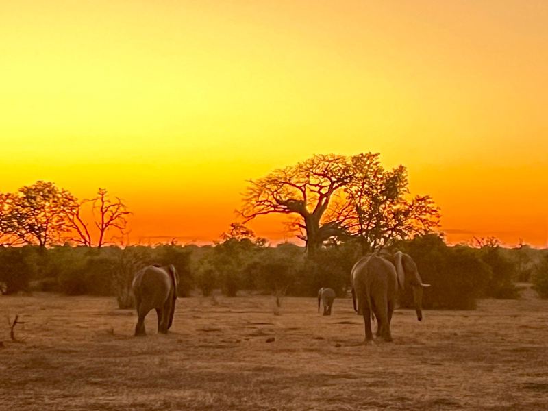 Shenzhen to Chiredzi Flights