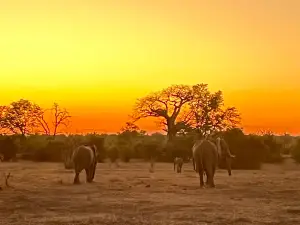 Gonarezhou National Park