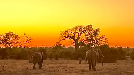 Gonarezhou National Park