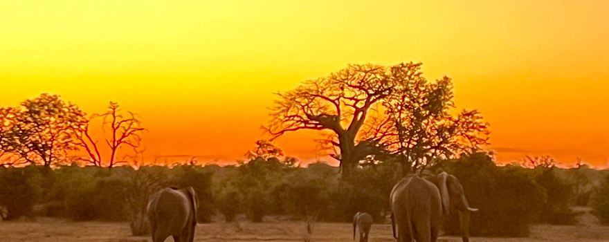 Chiredzi
