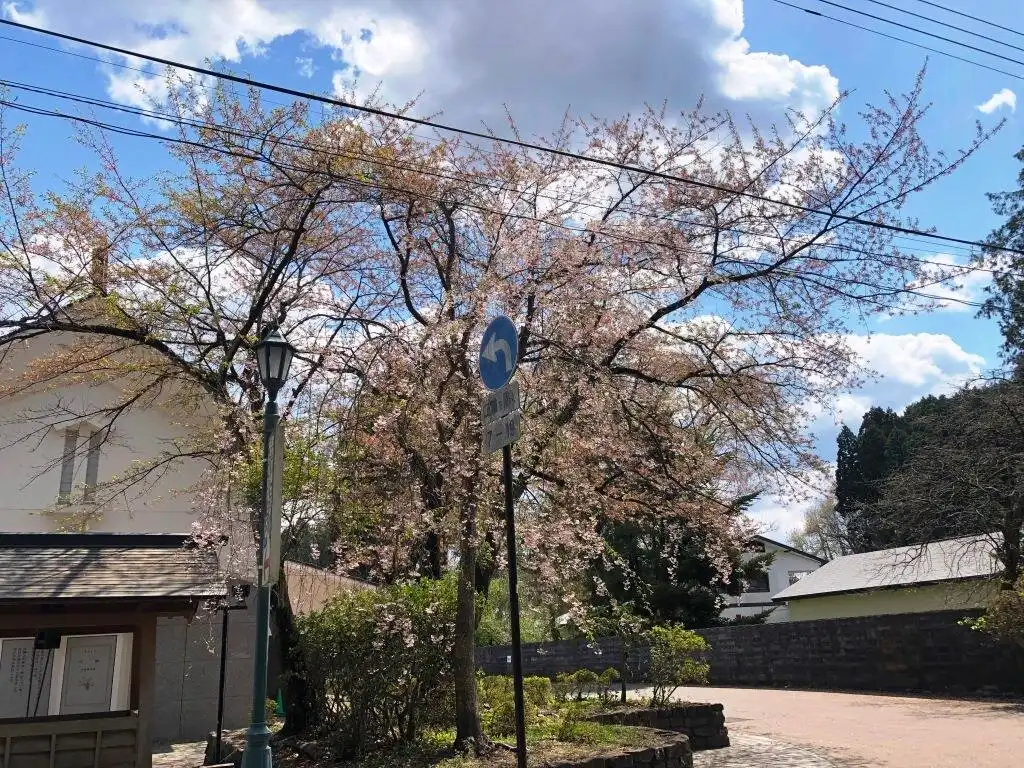 新潮社記念文學館附近的飯店
