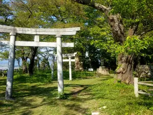 Murakami Castle Ruins