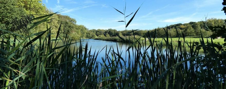 Estate Oostbroek