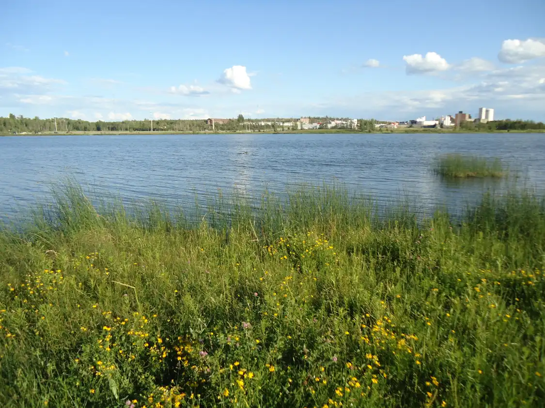 Hotels near Gillies Lake