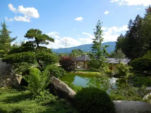 Bonsaimuseum