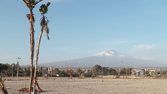 Catania
