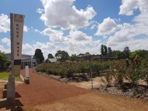 The Kodja Place Rose Maze