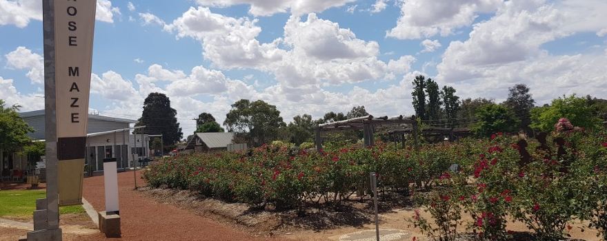 The Kodja Place Rose Maze