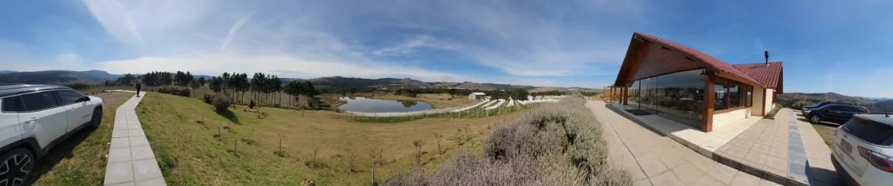 3_Vinhedos do Monte Agudo