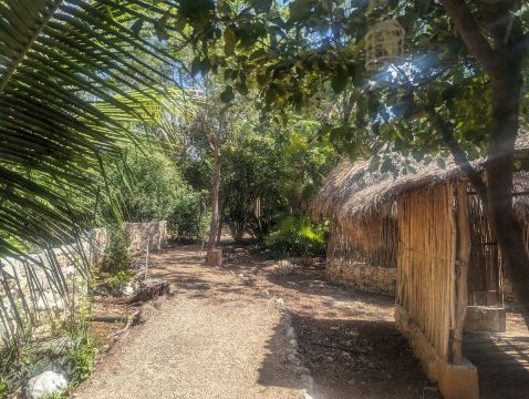 Regional Roger Orellana CICY Botanical Garden