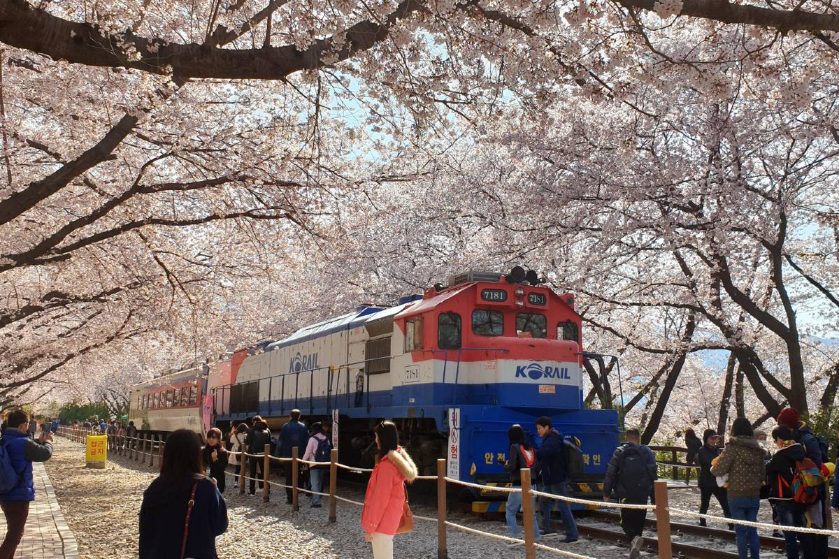 제주도 4월 축제