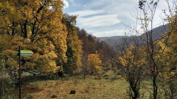 Jukhtakvank