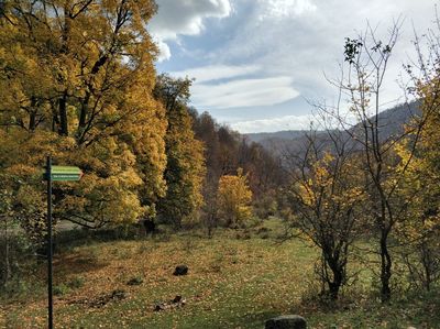 Jukhtakvank