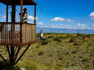 Arizona Zipline Adventures