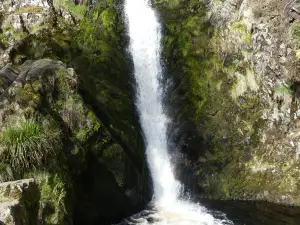 Linhope Spout Waterfall