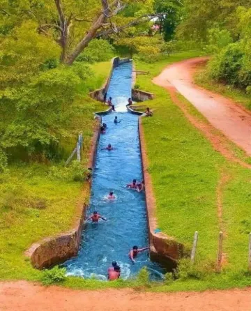 Udawalawa Elephant Orphanage