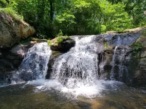 Cupid Falls
