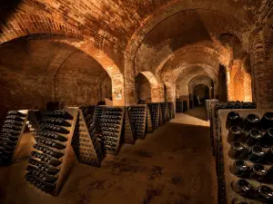 Cantine Bosca - Cattedrali Sotterranee