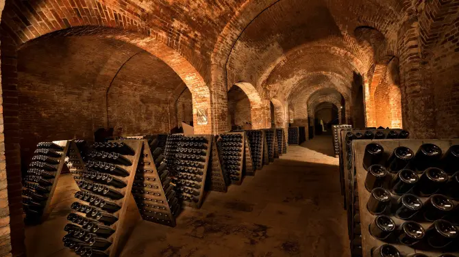 5_Cantine Bosca - Cattedrali Sotterranee