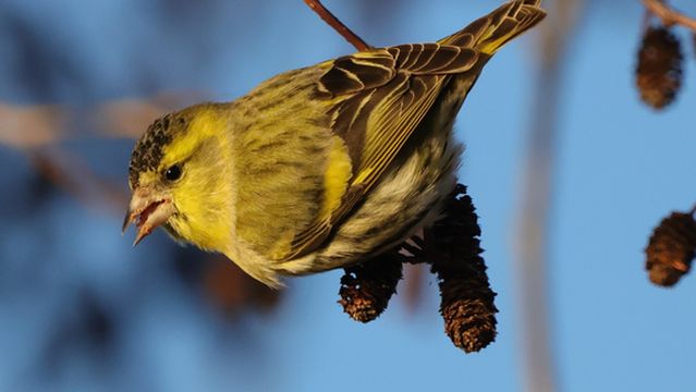 Nene Park Peterborough