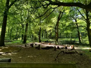 Slieve Gullion Forest Park