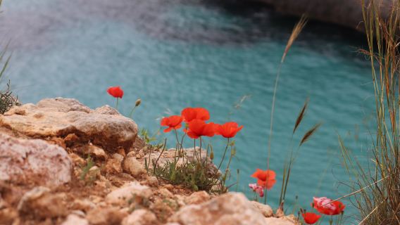 Cala Antena