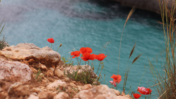 Cala Antena