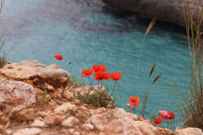 Cala Antena