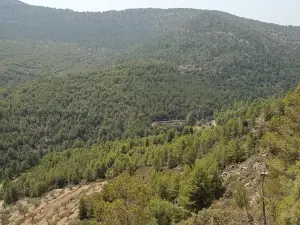Fuente De Arriba