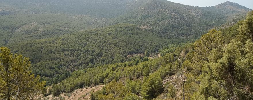 Fuente De Arriba