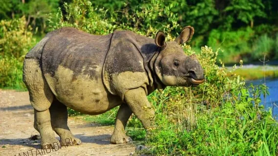 Mowgli's eco - adventure tour