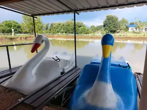 Complejo Turístico El Brasilero