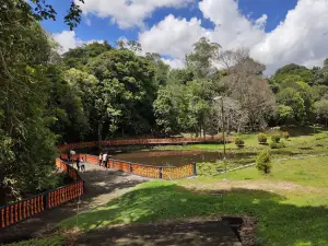 Sebangkoi Country Park