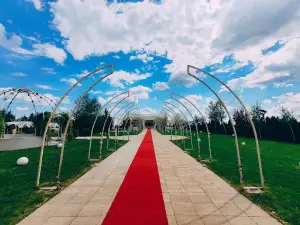 Dolce Vita Events