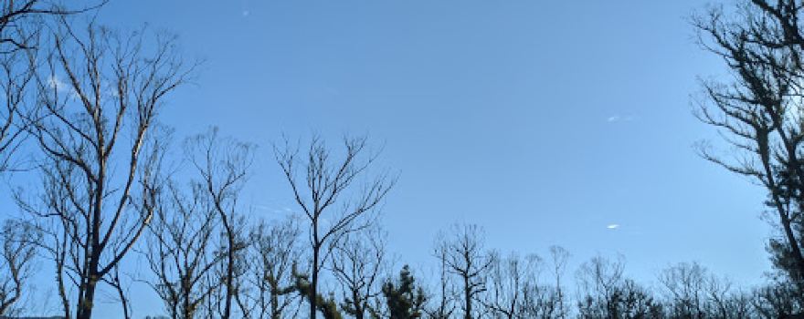 Monga National Park