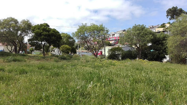 Violeta Parra Park Arts