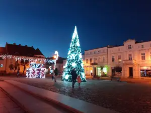Rynek miasta Gostyń