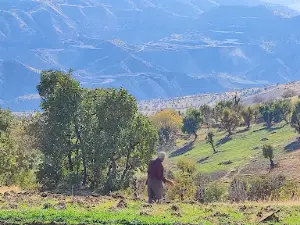 Çınar Piknik Evi