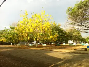 Cartagena Park