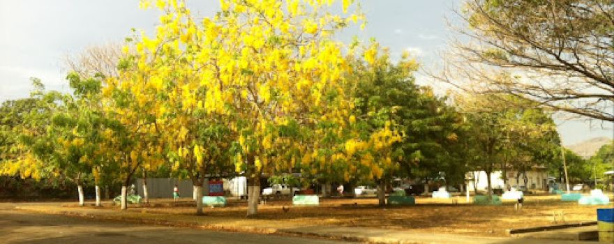 Cartagena Park