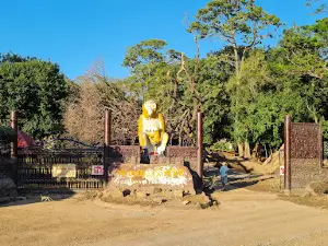 Kosamphi Forest Park