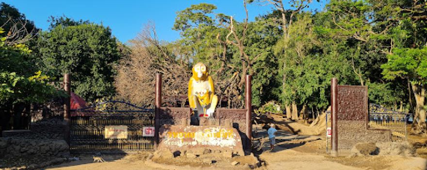 Kosamphi Forest Park
