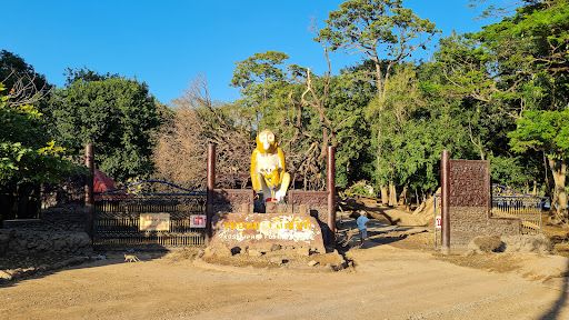 Kosamphi Forest Park